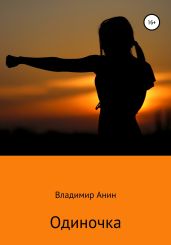 Одиночка - Анин Владимир