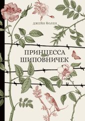 Принцесса Шиповничек - Йолен Джейн