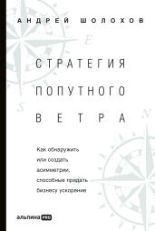 Стратегия попутного ветра. Как обнаружить или создать асимметрии, способные придать бизнесу ускорение - Шолохов Андрей Борисович