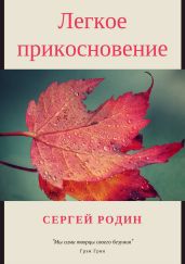 Легкое прикосновение - Родин Сергей Сергеевич
