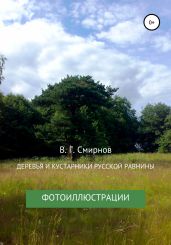 Деревья и кустарники Русской равнины - Смирнов Виктор Аполлонович