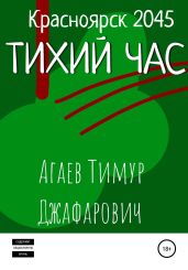 Красноярск 2045: Тихий час - Агаев Тимур