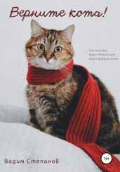 Верните кота - Степанов Вадим