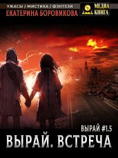 Вырай 1.5. Встреча - Боровикова Екатерина