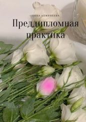 Преддипломная практика - Ахминеева Нина
