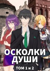 Осколки души. Том 1 и 2 - Шаман Иван
