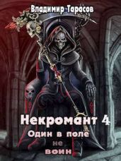 Жизнь после Смерти - Тарасов Владимир
