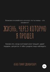 Жизнь, через которую я прошел - Агаев Тимур
