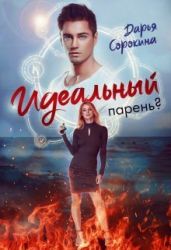 Идеальный парень - Сорокина Дарья