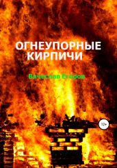 Огнеупорные кирпичи - Егоров Вячеслав