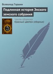Подлинная история Энского земского собрания - Гаршин Всеволод Михайлович