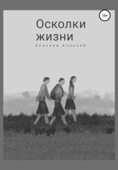 Осколки жизни - Елисеев Алексей Станиславович