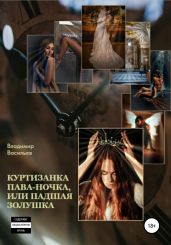 Куртизанка Пава-Ночка, или Падшая Золушка - Васильев Владимир Анатольевич