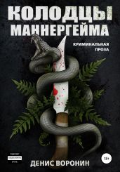Колодцы Маннергейма - Воронин Денис