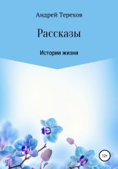 Расcказы. Истории жизни - Терехов Андрей Сергеевич