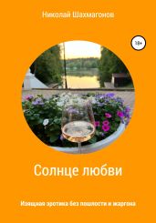 Солнце любви - Шахмагонов Николай