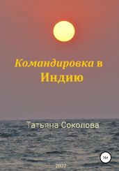 Командировка в Индию - Соколова Татьяна