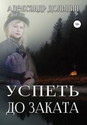 Успеть до заката - Долинин Александр