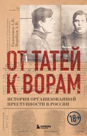 От татей к ворам. История организованной преступности в России - Евдокимов Александр