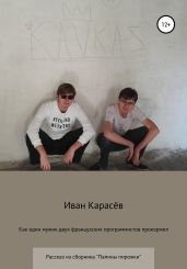 Как один мужик двух французских программистов прокормил - Карасёв Иван