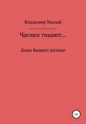 Часики тикают… - Малый Владимир Николаевич