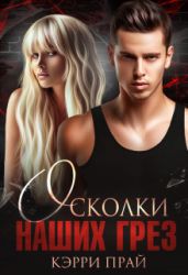 Осколки наших грез - Прай Кэрри
