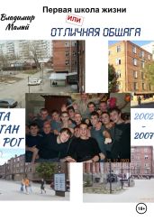 Первая школа жизни, или Отличная общага - Малый Владимир Николаевич