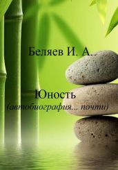 Юность. Автобиография… почти. Книга вторая. Цикл «Додекаэдр. Серебряный аддон» - Беляев Илья Андреевич