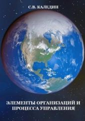 Элементы организаций и процесса управления - Каледин Сергей Евгеньевич