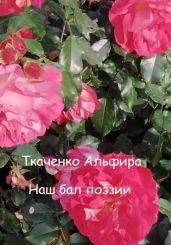 Наш бал поэзии - Ткаченко Альфира Федоровна