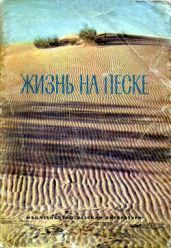 Жизнь на песке. Фотокнижка - Сладков Николай Иванович