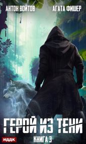 Герой из тени. Книга 3 - Фишер Агата