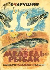 Медведь-рыбак - Чарушин Евгений Иванович