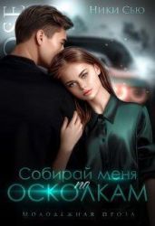 Собирай меня по осколкам - Сью Ники