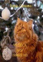 Чудеса под Новый год - Силкина Елена Викторовна