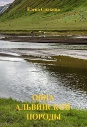 Овца альвийской породы - Силкина Елена Викторовна