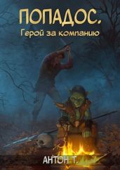 Попадос. Герой за компанию. Том первый - Т. Антон