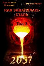 Как закалялась сталь - 2057. Том 3 - Мусин Ринат, Огнелис Елизавета