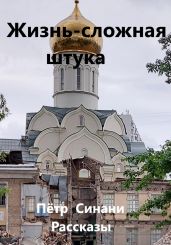 Жизнь – сложная штука - Синани Петр