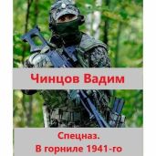 Спецназ. В горниле 1941-го - Чинцов Вадим Владимирович