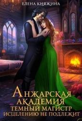 Анжарская академия. Темный магистр исцелению не подлежит - Княжина Елена