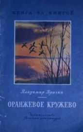 Оранжевое кружево - Брагин Владимир Григорьевич