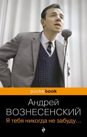 Я тебя никогда не забуду… - Вознесенский Андрей Андреевич