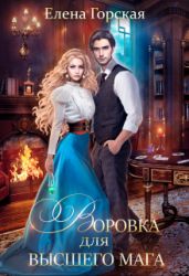Воровка для высшего мага - Горская Елена