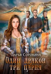 Один дракон – три парня - Сорокина Дарья