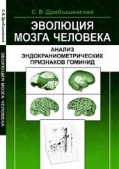 Эволюция мозга человека: Анализ эндокраниометрических признаков гоминид - Дробышевский Станислав