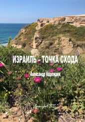 Израиль – точка схода - Надеждин Александр