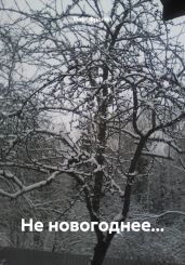 Не новогоднее… - Фролов Олег