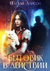 Бытовик в действии - Лансон Натали