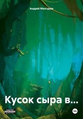 Кусок сыра в… - Мансуров Андрей Арсланович